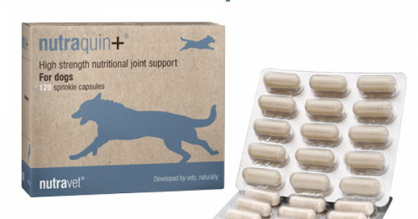 Nutraquin+ joint supplement for dogs and cats