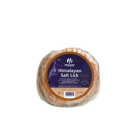 Hestevard Himalayan Salt Lick