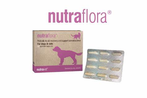 Nutraflora – for Dogs and Cats - high strength probiotic for everyday gut health & immunity