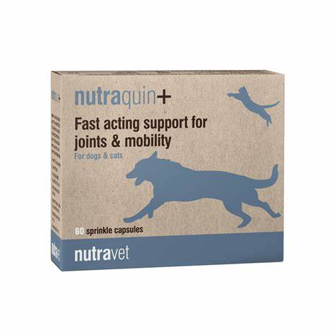 Nutraquin+ joint supplement for dogs and cats