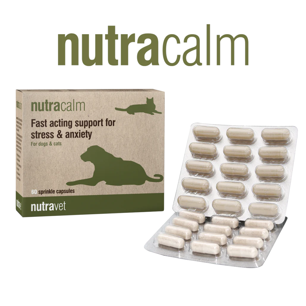 Nutracalm for dogs and cats - 60 capsules