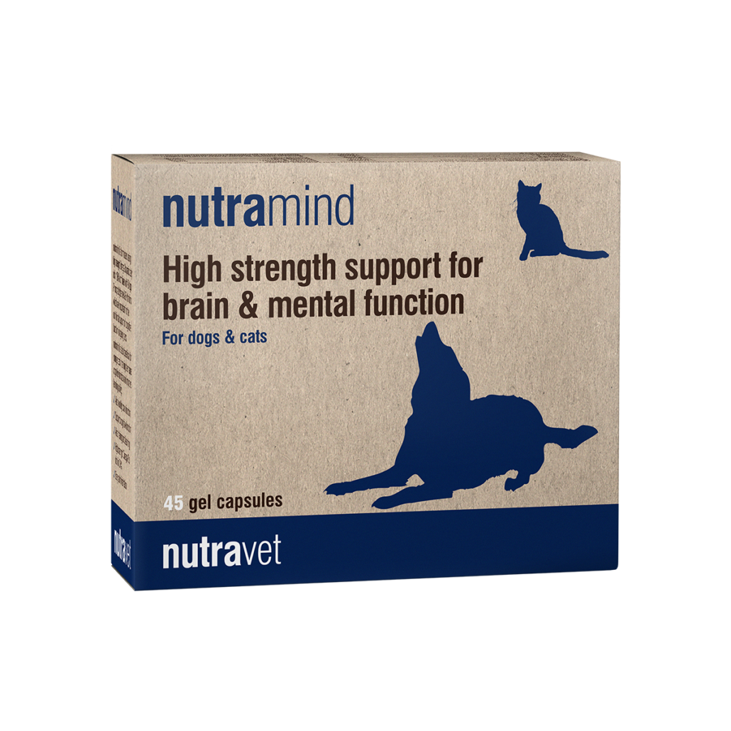 Nutramind for dogs and cats