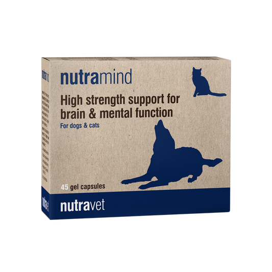Nutramind for dogs and cats
