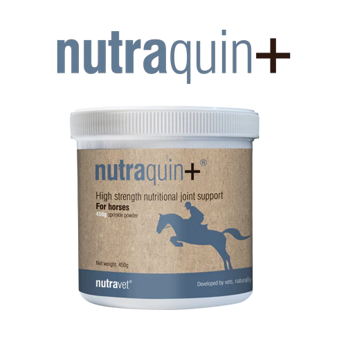 Nutraquin+ equine for horses