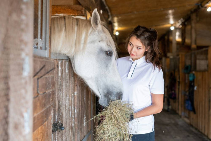 How to Keep Your Horse Safe and Calm During Fireworks