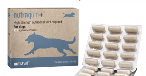 Nutraquin+ joint supplement for dogs and cats