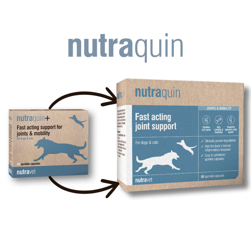 Nutraquin (formerly Nutraquin+) joint supplement for dogs and cats