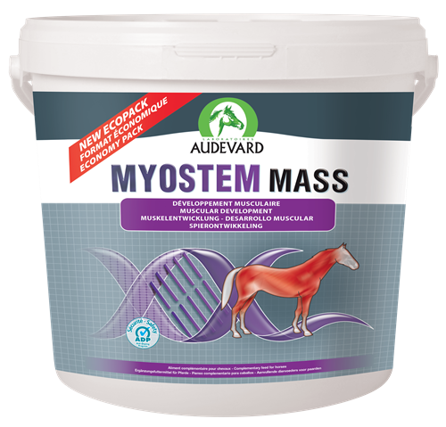 Audevard Myostem Mass - Muscular Development Support For Horses