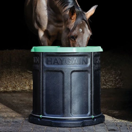 The Haygain Forager Slow Feeder