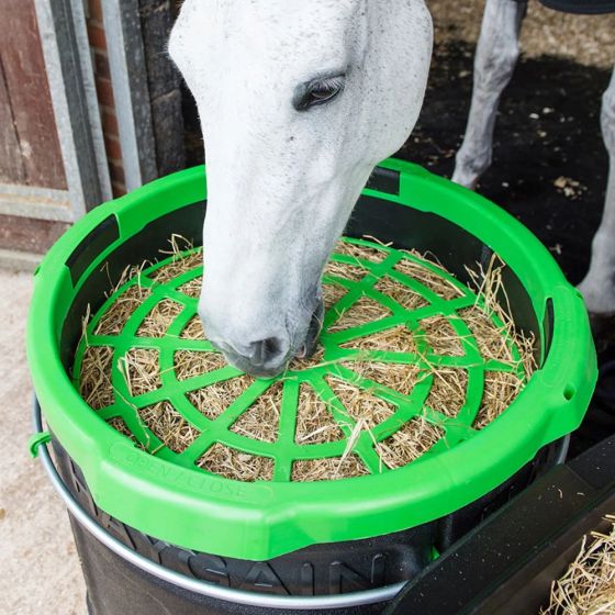 The Haygain Forager Slow Feeder