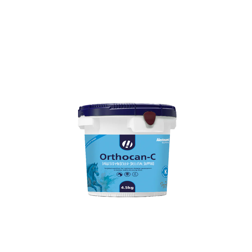 Hestevard Orthocan-C