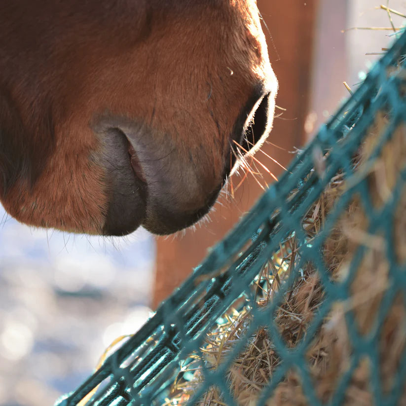 Haygain Non Shrinking Hay Net - Standard