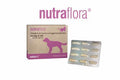 Nutraflora – for Dogs and Cats - high strength probiotic for everyday gut health & immunity