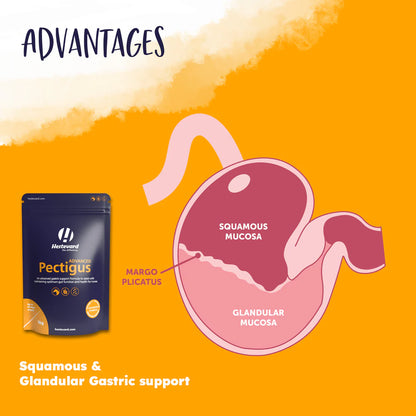 Hestevard Pectigus ADVANCED 1kg (formerly Exagus Advanced)