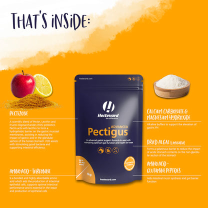 Hestevard Pectigus ADVANCED 1kg (formerly Exagus Advanced)