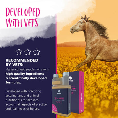 Hestevard Vitatone +IMMUNE Liquid