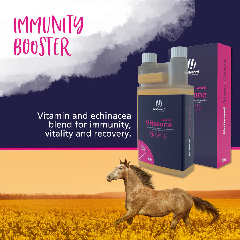 Hestevard Vitatone +IMMUNE Liquid