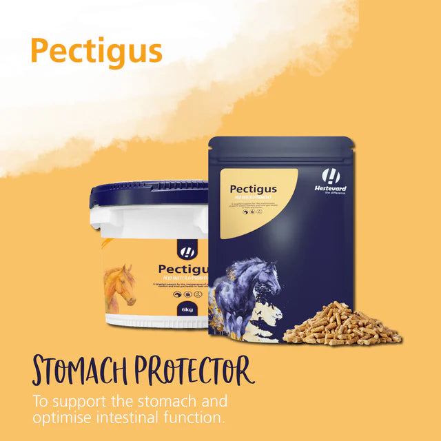 Hestevard Pectigus 1.5kg