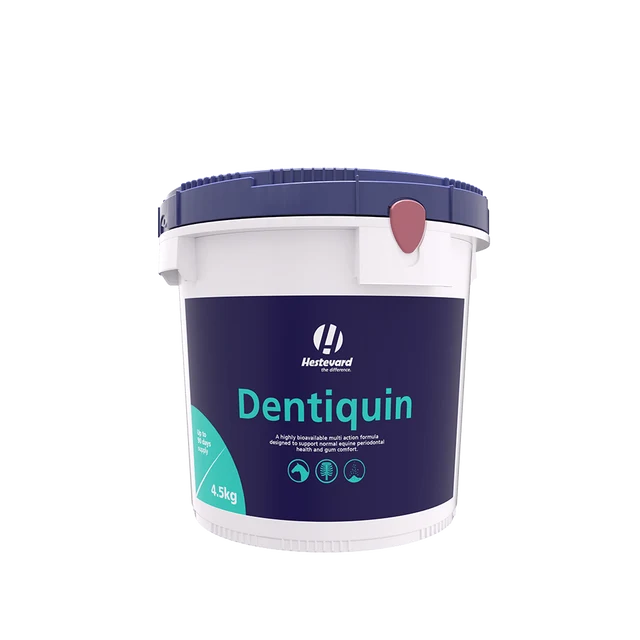Hestevard Dentiquin