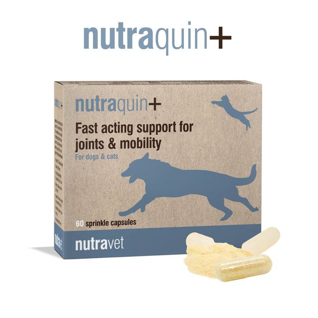 Nutraquin+ joint supplement for dogs and cats