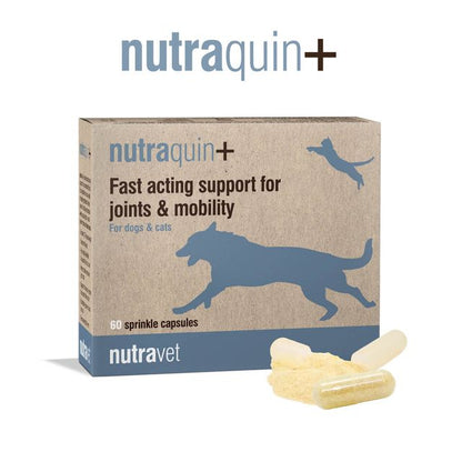 Nutraquin+ joint supplement for dogs and cats
