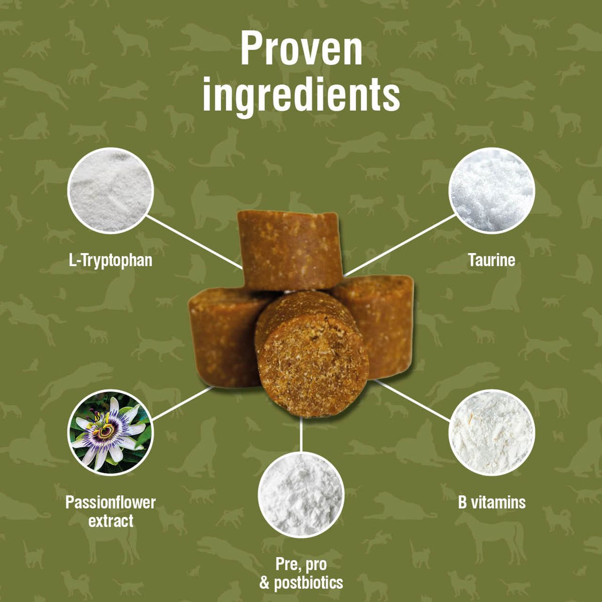 Nutracalm Daily Calm Chews for Dogs