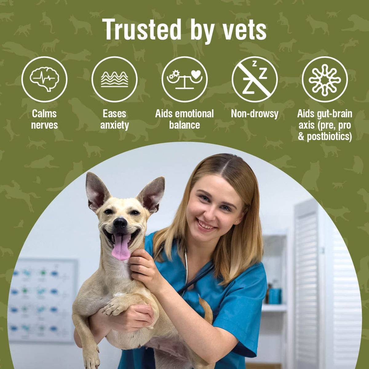 Nutracalm Daily Calm Chews for Dogs