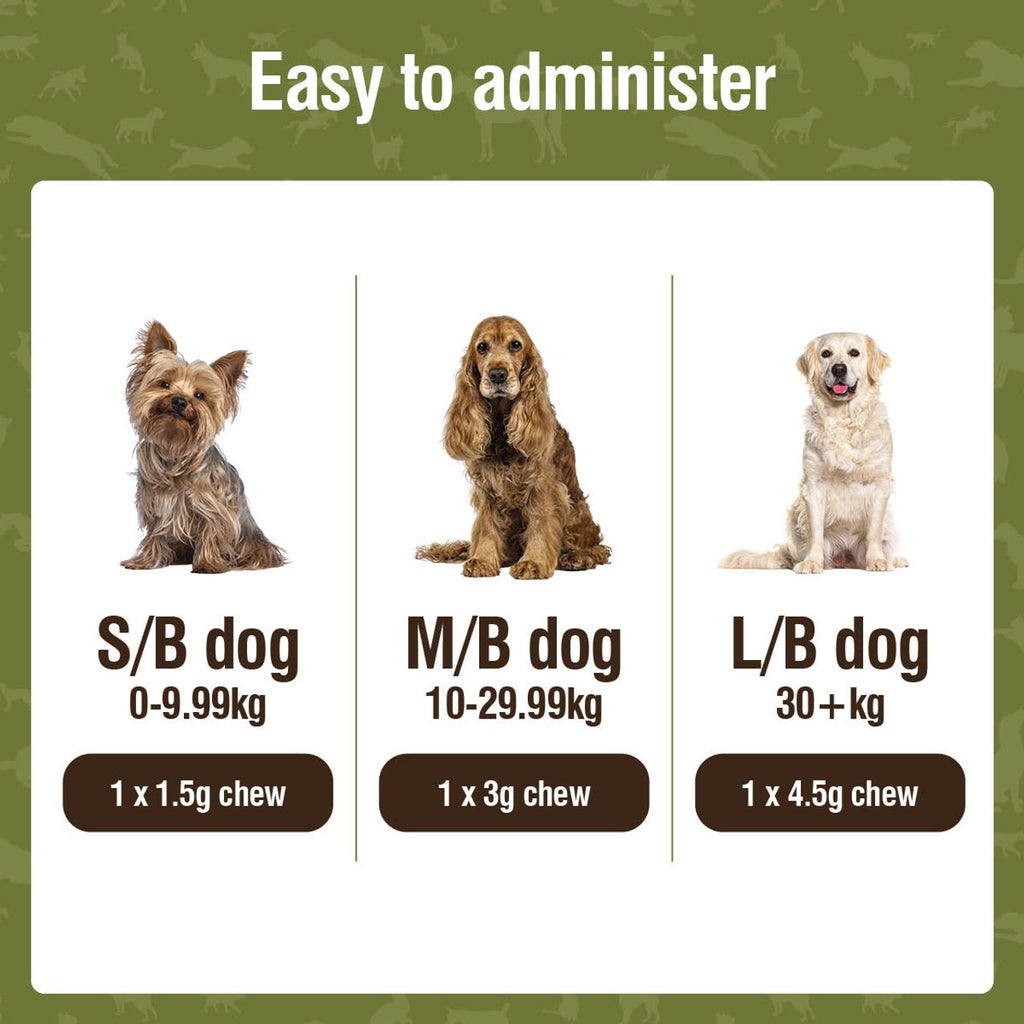 Nutracalm Daily Calm Chews for Dogs